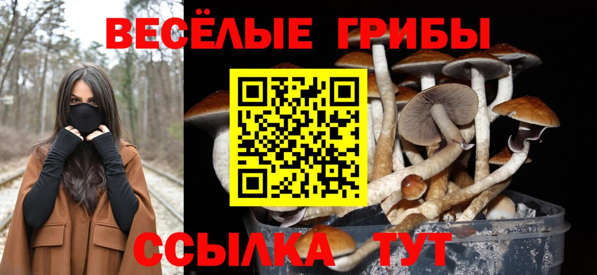 Галлюциногенные грибы прущие грибы  Вход с VPN  Киров 